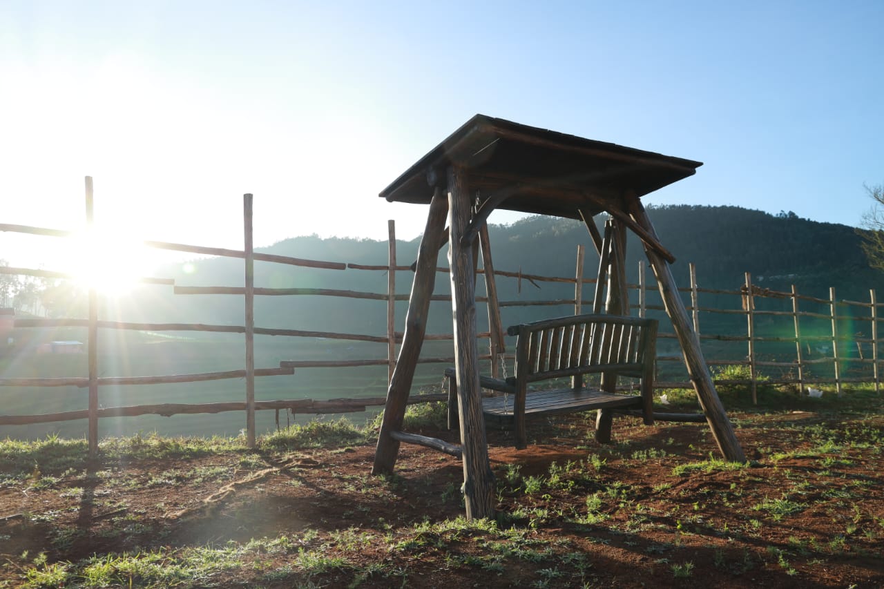 WhatsApp Image 2025-12-15 at 3.55.06 PM